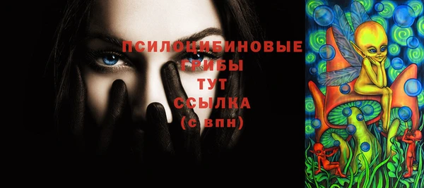 шишки Алзамай