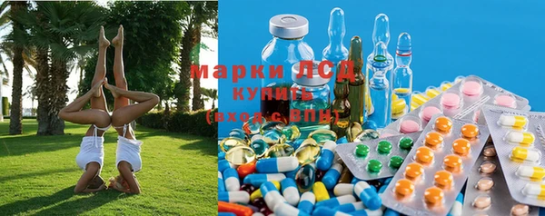 шишки Алзамай