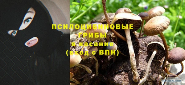 спиды Алексеевка