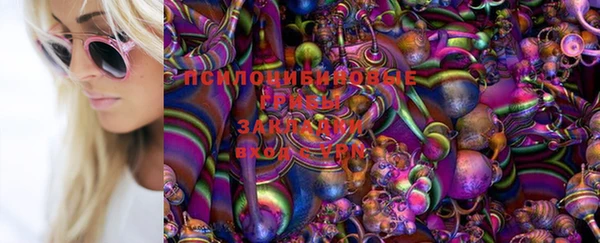 шишки Алзамай