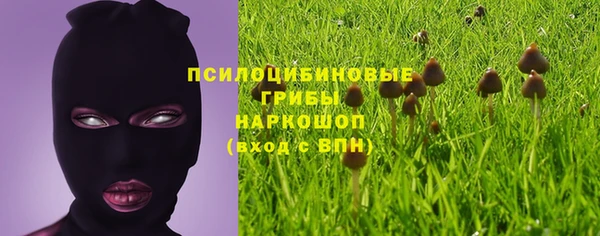 шишки Алзамай